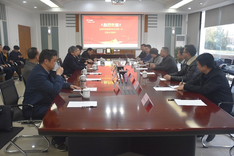 合肥市常务副市长王文松一行莅临公司调研指导